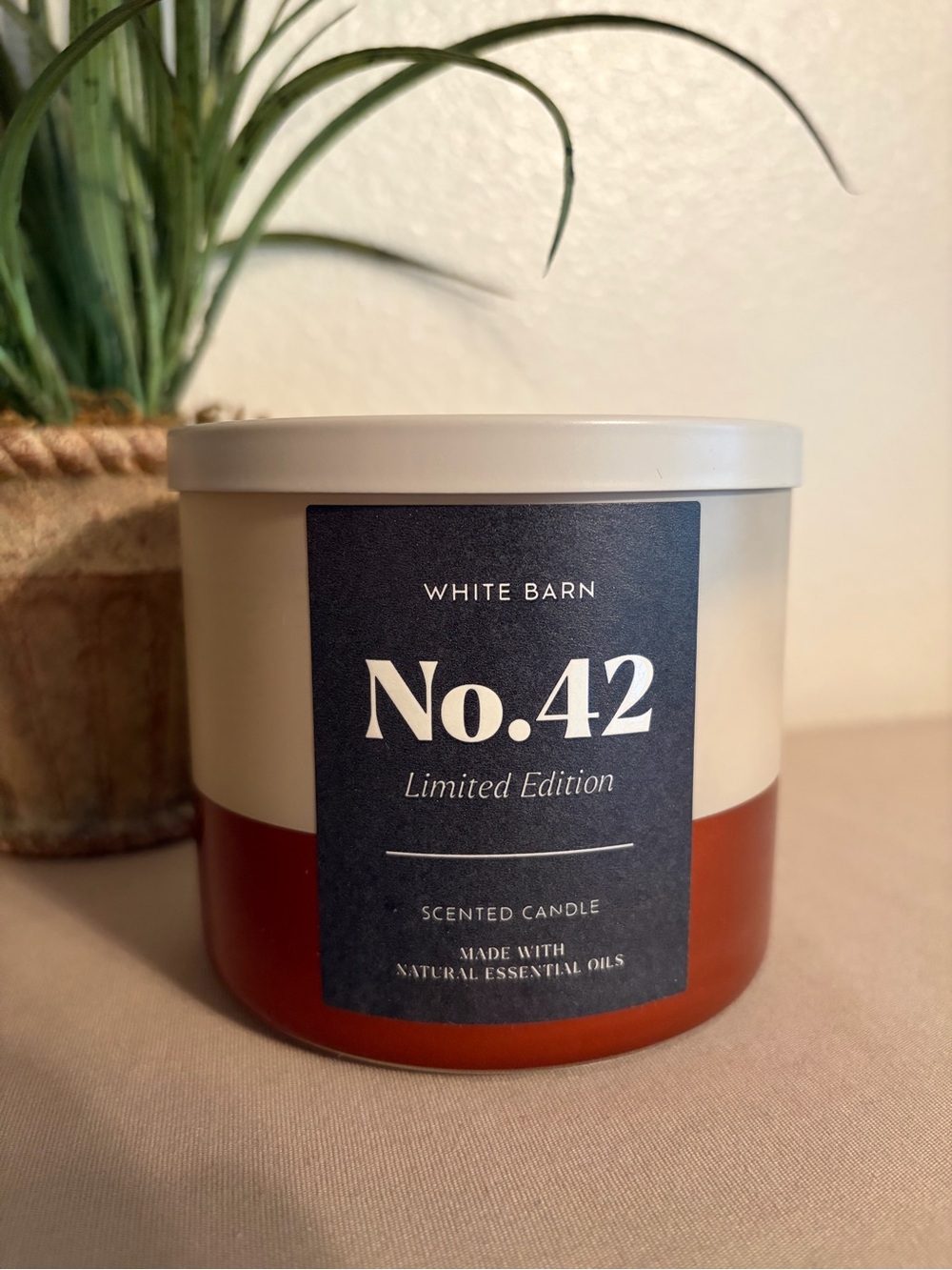 NEW Bath & Body Works No 42 Cinnamon Leather 3 Wick Candle